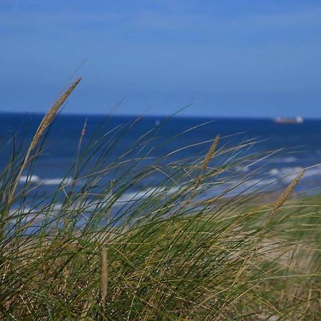 De Blaauboer, Vakantiehuisje Egmond aan Zee Exteriör bild