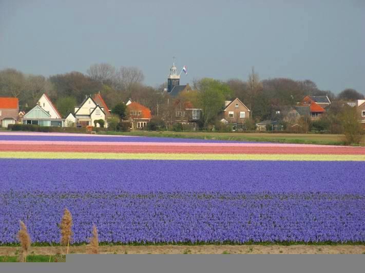 De Blaauboer, Vakantiehuisje Egmond aan Zee Rum bild