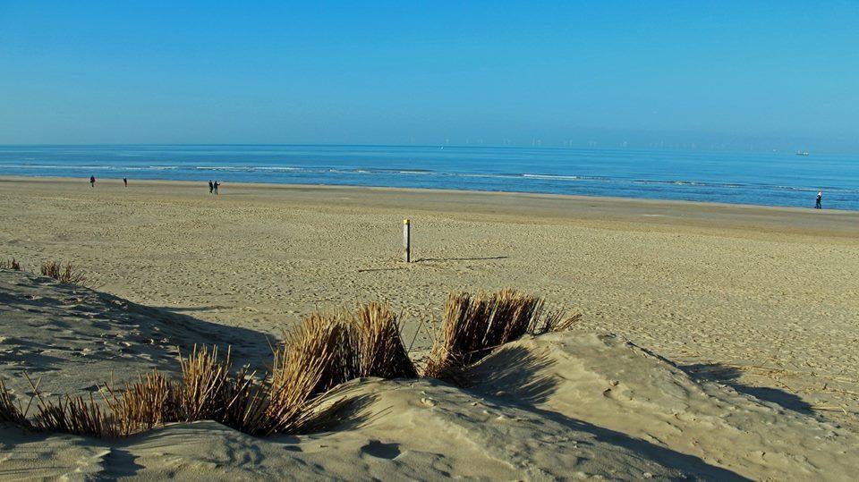De Blaauboer, Vakantiehuisje Egmond aan Zee Exteriör bild