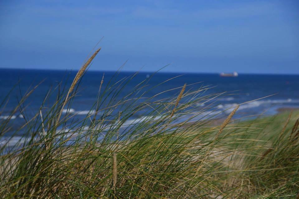 De Blaauboer, Vakantiehuisje Egmond aan Zee Exteriör bild